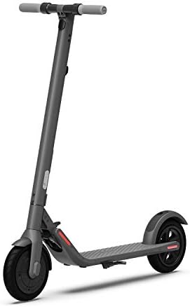 Segway Ninebot E25 Electric KickScooter
